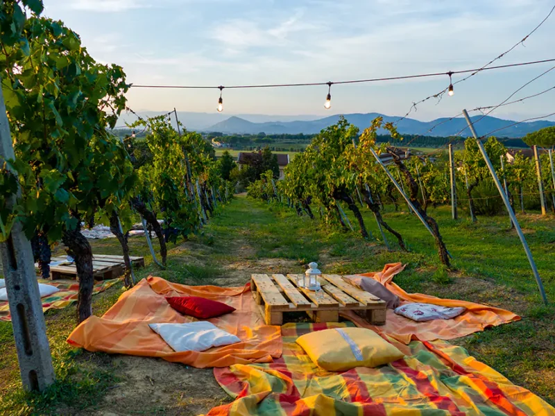 Organisation clé en main d'un événement d'entreprise dans les vignes de la Vallée du Rhône