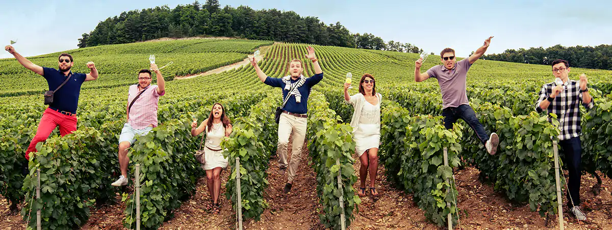 Séminaire d'entreprise et team-building œnologique dans les vignes