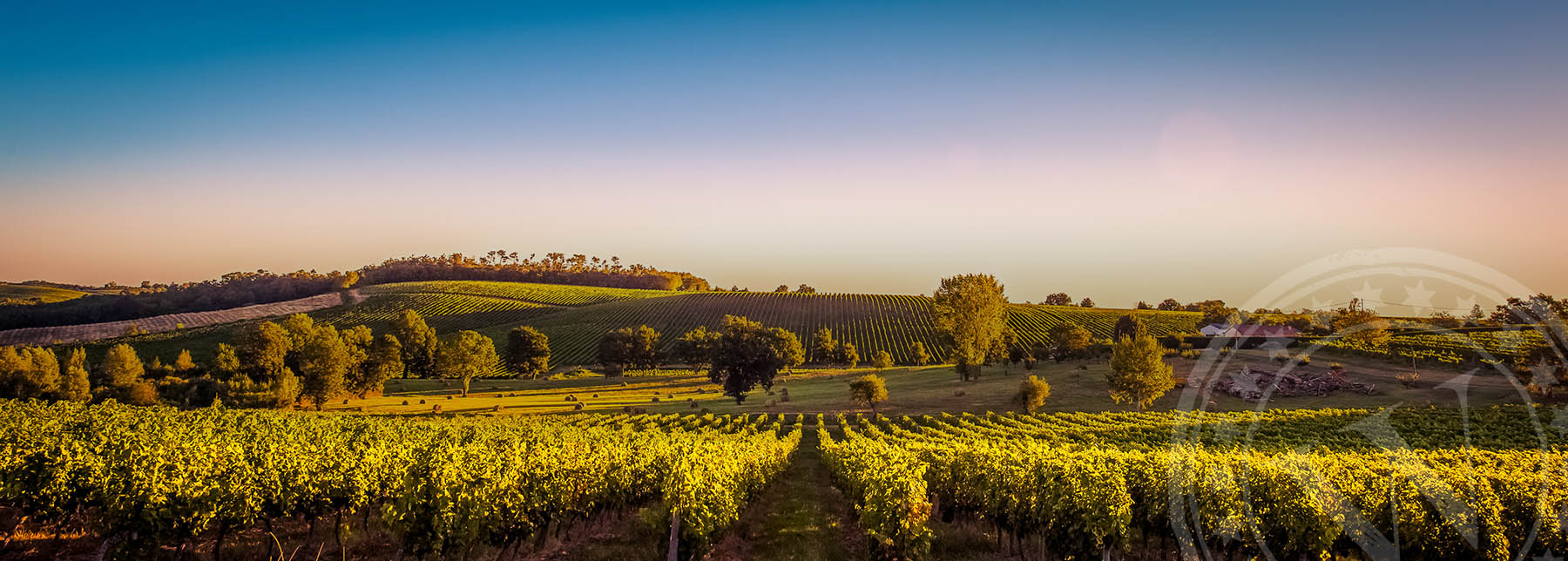 Vignoble de la Vallée du Rhône au coucher de soleil, œnotourisme en Provence