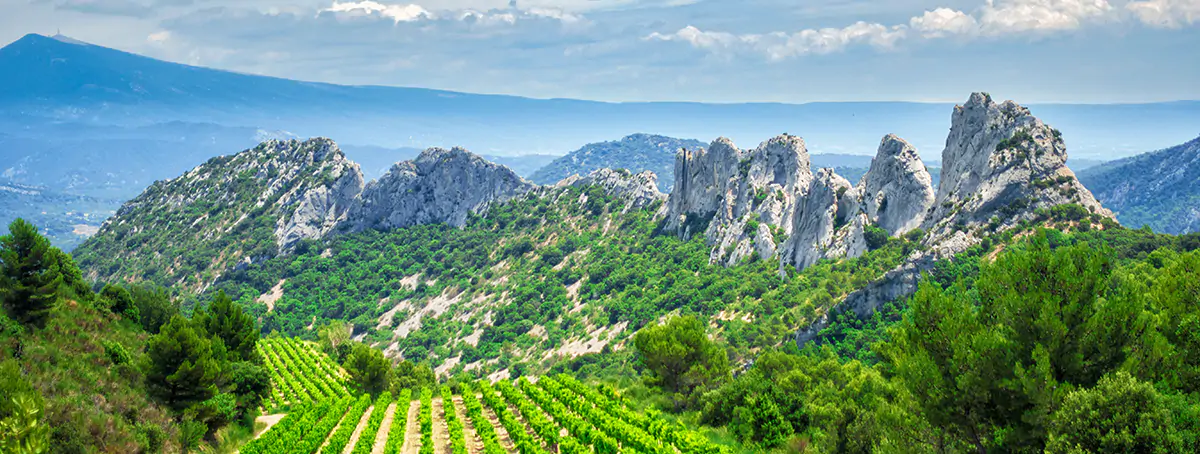 Wino Tour, circuit œnotouristique dans les vignobles de la Vallée du Rhône